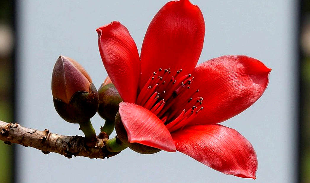স্টপওয়াচের মিথ: বাংলাদেশের স্প্রিন্ট ঐতিহ্য নিয়ে যে তথ্য-বিশ্লেষণ কেউ করতে চায়নি