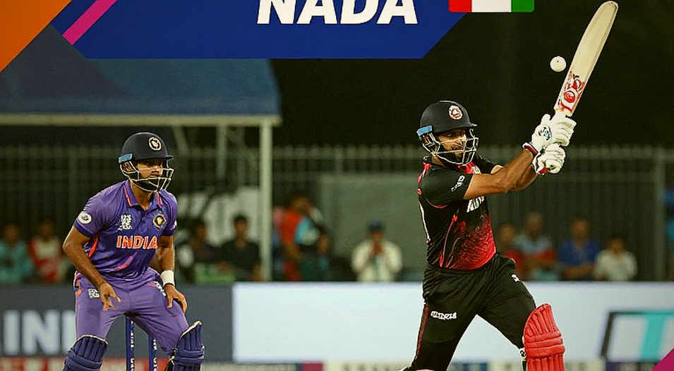 From an Empty Cage to Blockchain: When Cricket's Data Chain Breaks From an Empty Cage to Blockchain: When Cricket's Data Chain Breaks